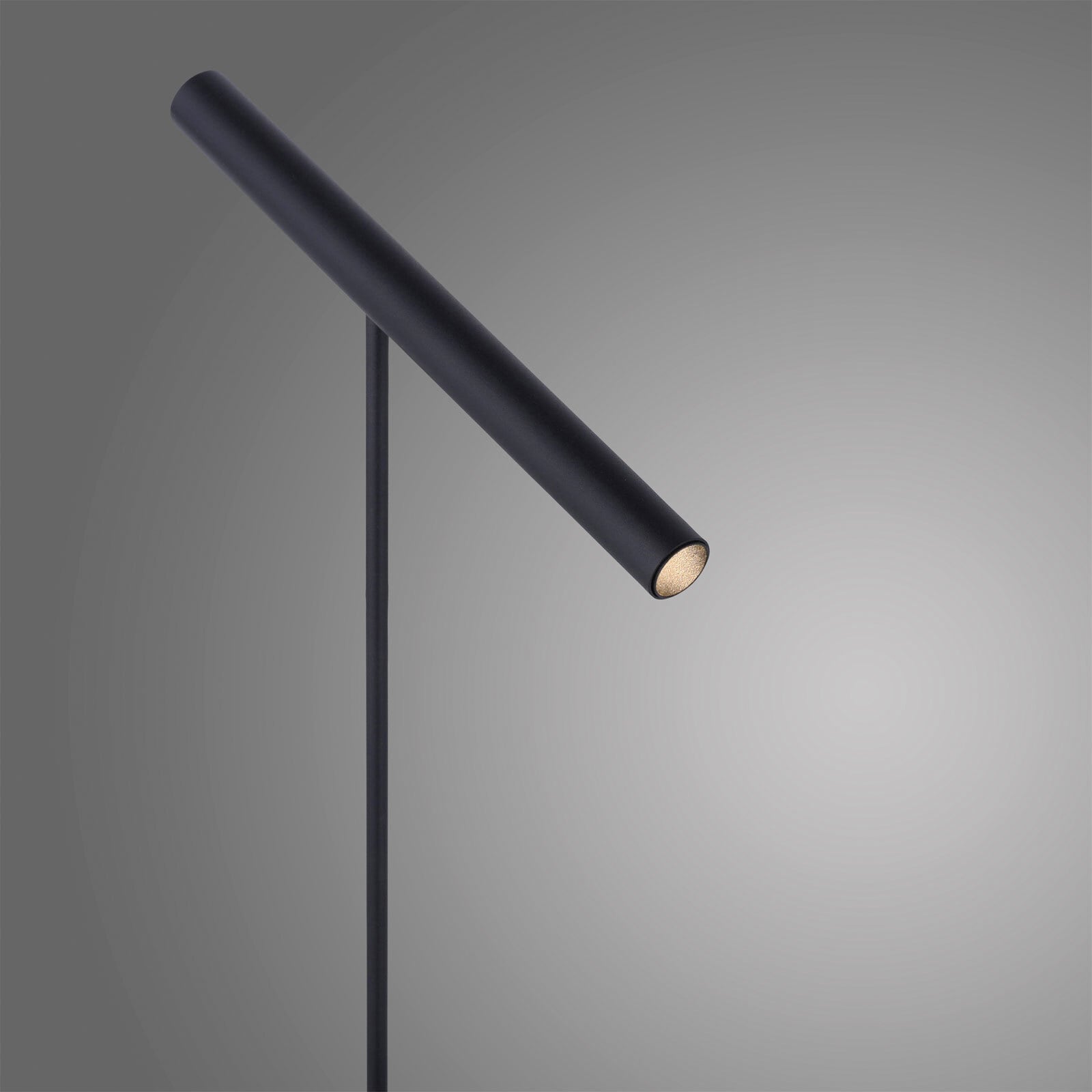 Paul Neuhaus LED Tischlampe PURE-TUTUA schwarz