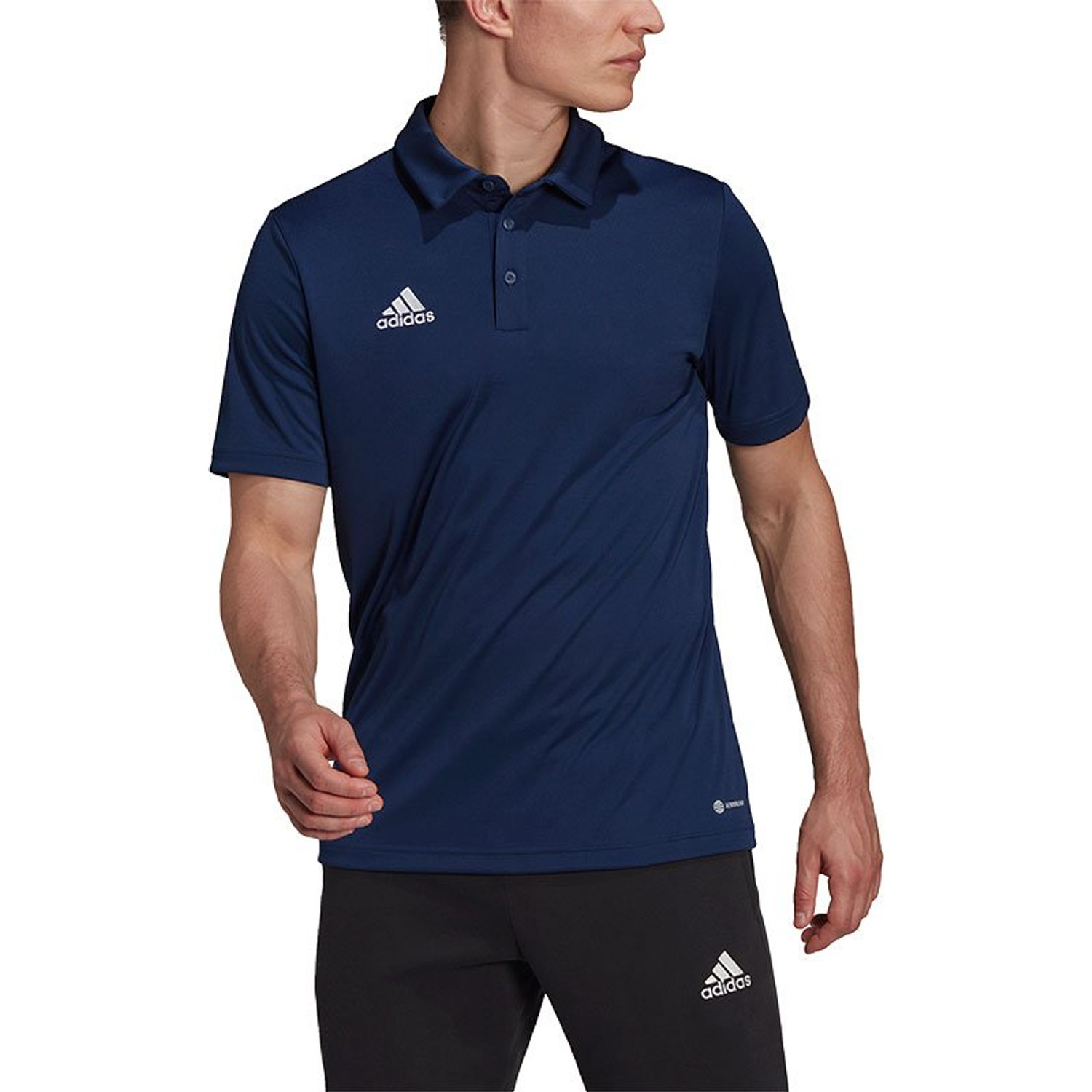 adidas Entrada 22 Polo