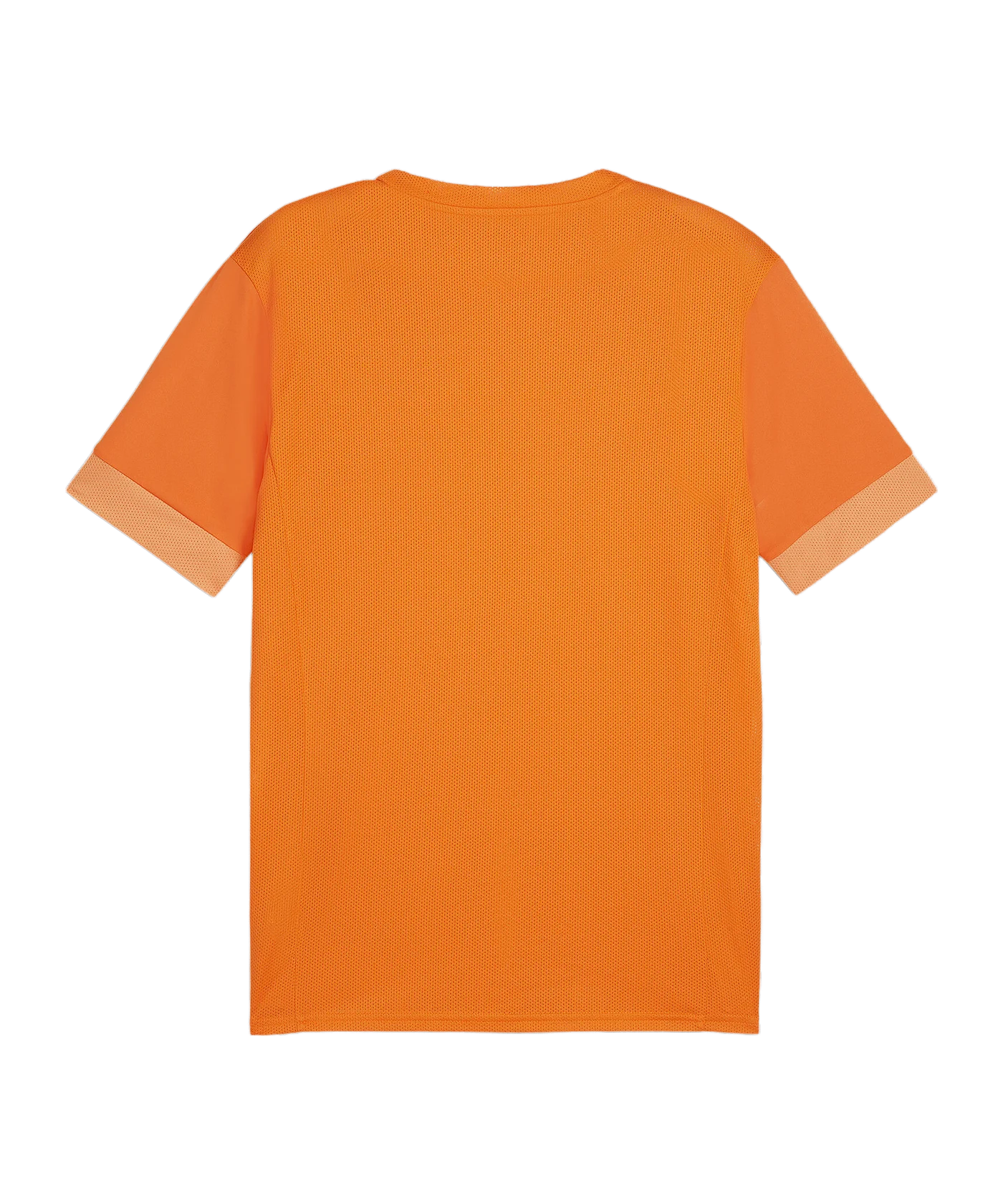 PUMA teamGOAL Matchday Trikot Orange Weiss F08