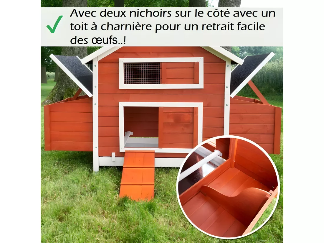 Poulailler en bois pour jardin extérieure Cage Canard avec Nichoir Modèle: 158 Betty rouge 301x171x113cm(LxlxH)AVEC extension