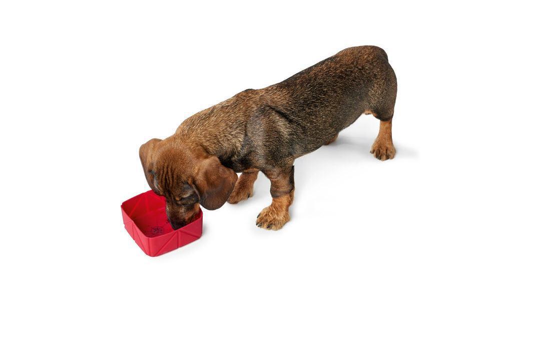 Reisenapf List Silikon, faltbarReisenapf für Hunde, 0.59 l