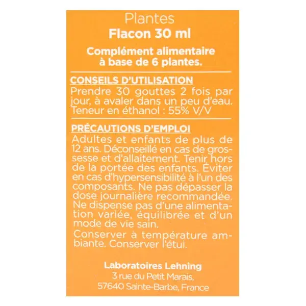 Solução oral de equinácea de inverno Lehning nº 40, 30 ml