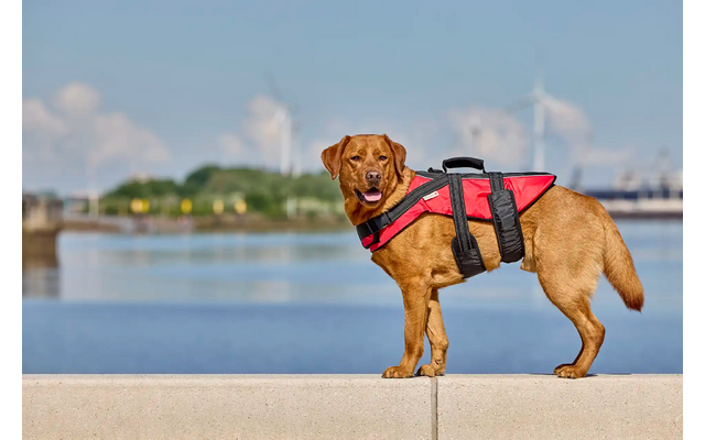 Wolters Watchout Schwimmweste für Hunde