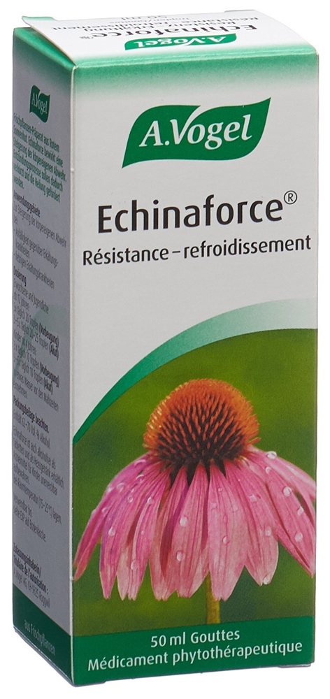 VOGEL Echinaforce Resistenz Erkältung Tropfen Fl 50 ml