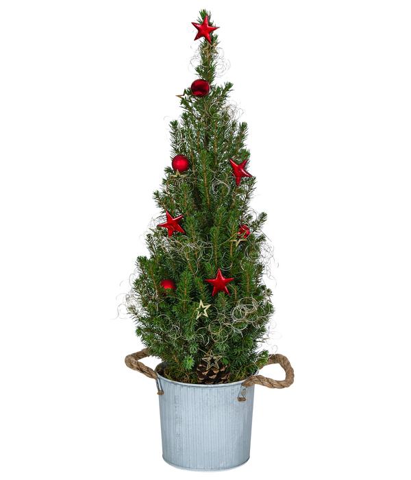 Geschmückter Weihnachtsbaum Linus