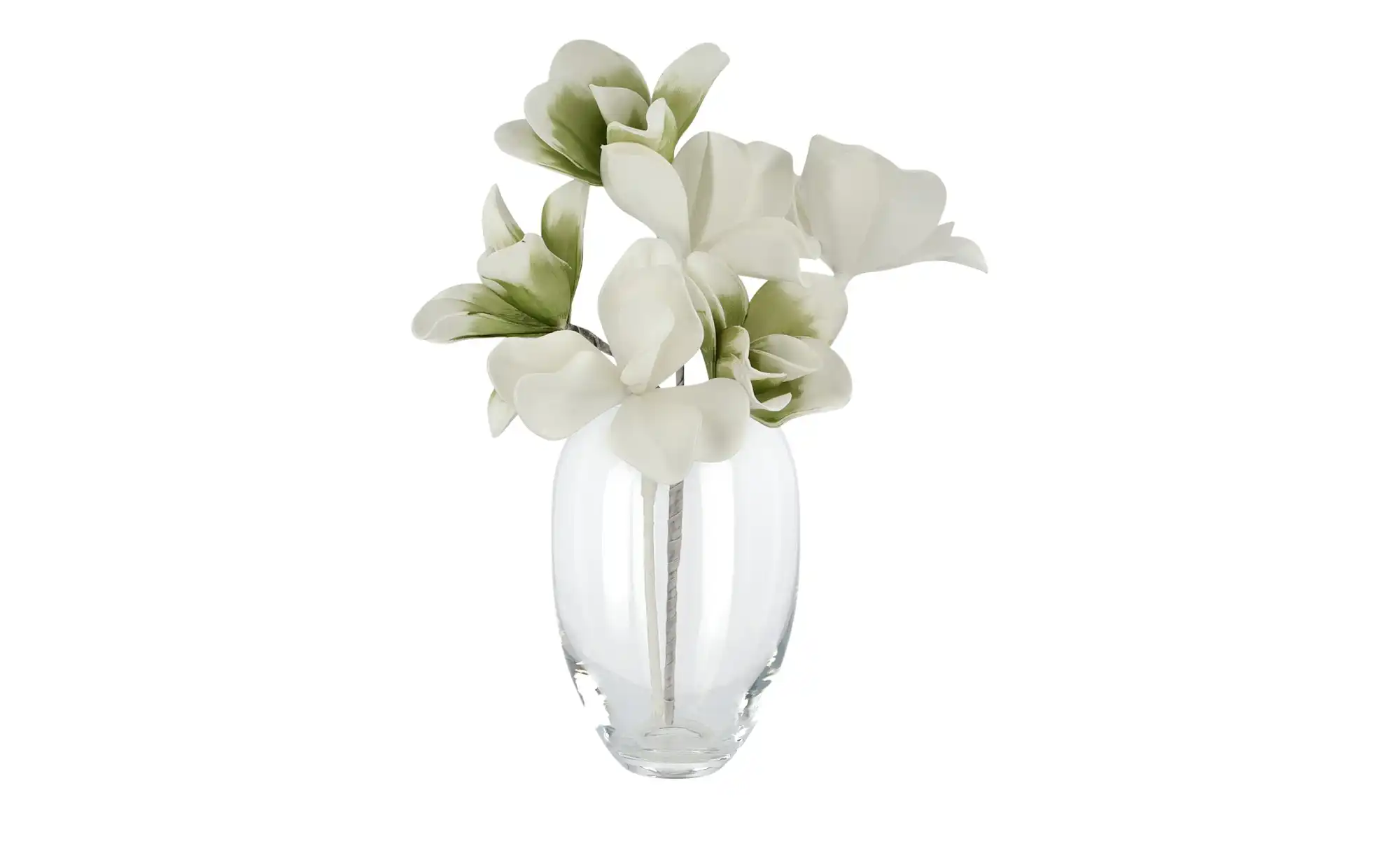 Peill+Putzler Vase For your home