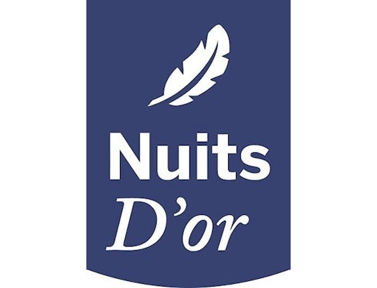 NUITS D'OR - Matelas 120x190 Densité 35 Kg/m3 - Hauteur 21 Cm - Soutien F...