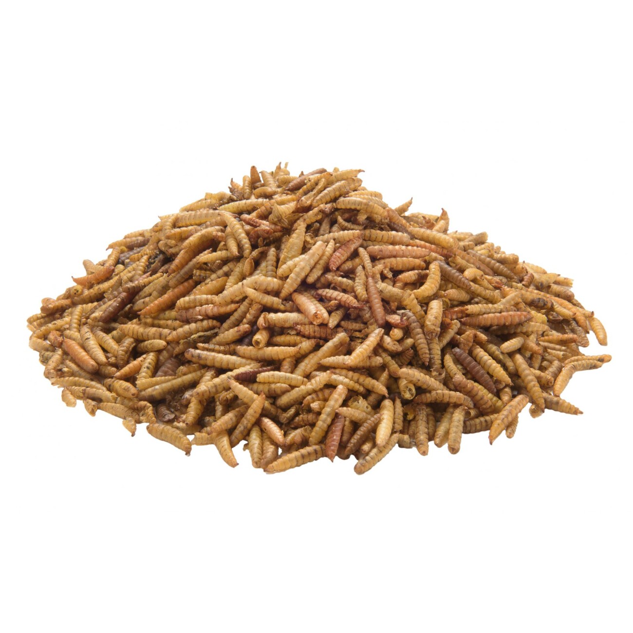 Panto SOLDATENFLIEGENLARVEN 750G