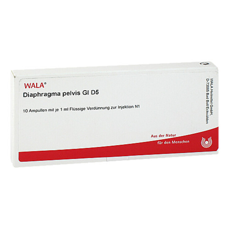 Diaphragma Pelvis GL D 5 Ampullen, 10X1 ml