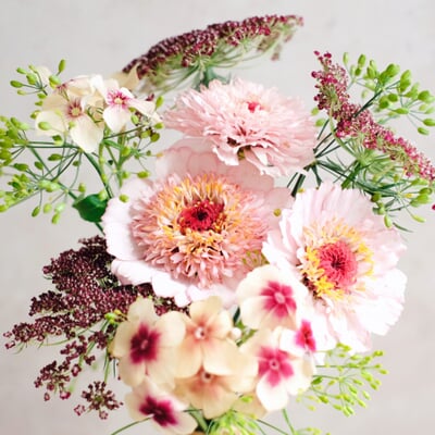 Saatgutkollektion für Blumensträuße, Pink Caramel
