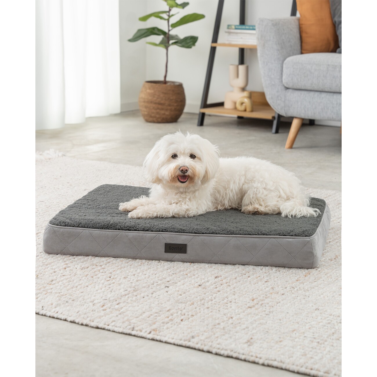 Lionto Hundematte CozyPad