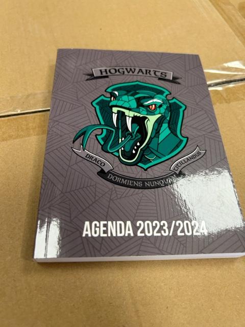 AGENDA HARRY POTTER BLEU 12X17CM