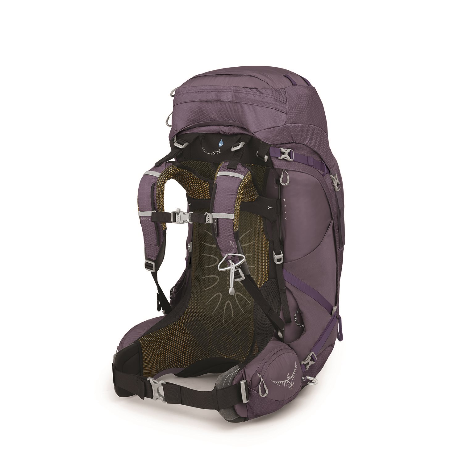 Osprey Aura AG 65 WS/S enchantment purple