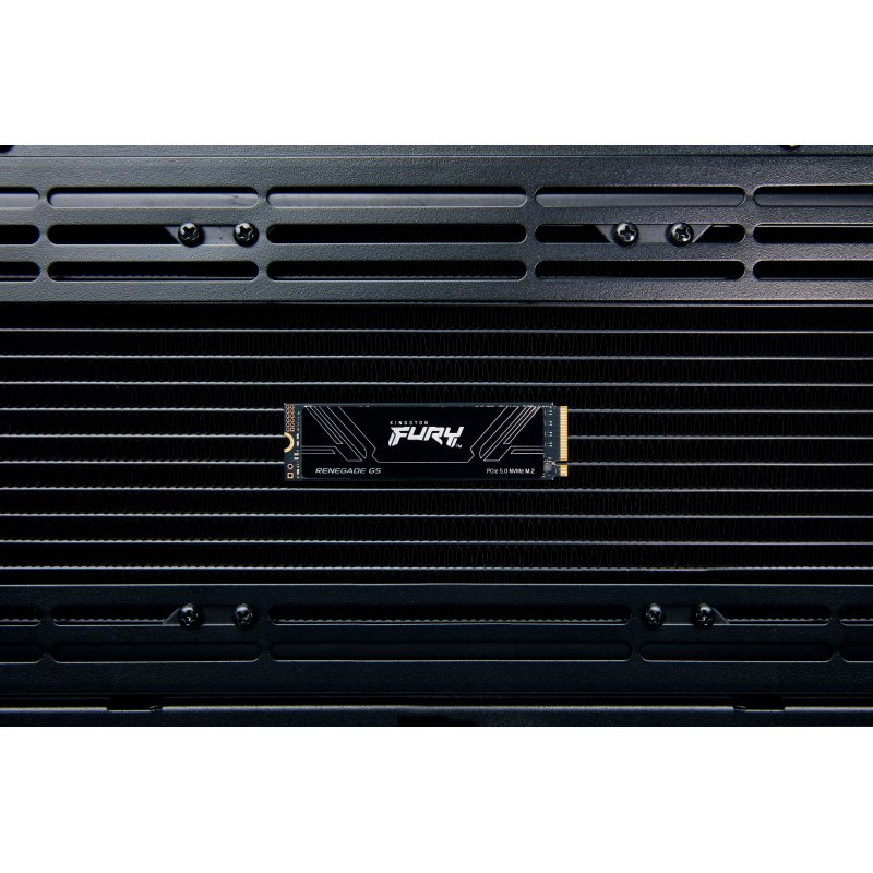 Kingston Technology 4T FURY RENEGADE G5 M.2 2280 NVMe SSD
