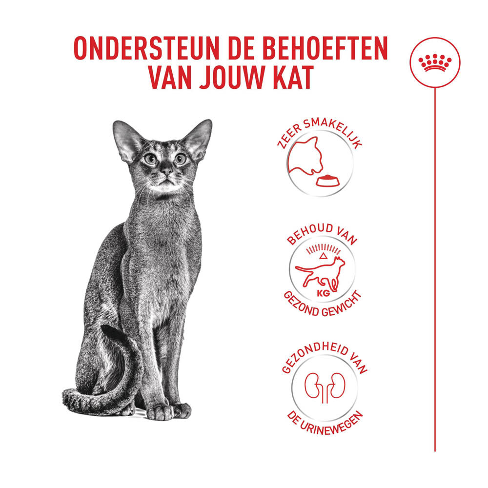 Royal Canin Fussy Exigent - Kattenvoer - 0.4 Kilogram