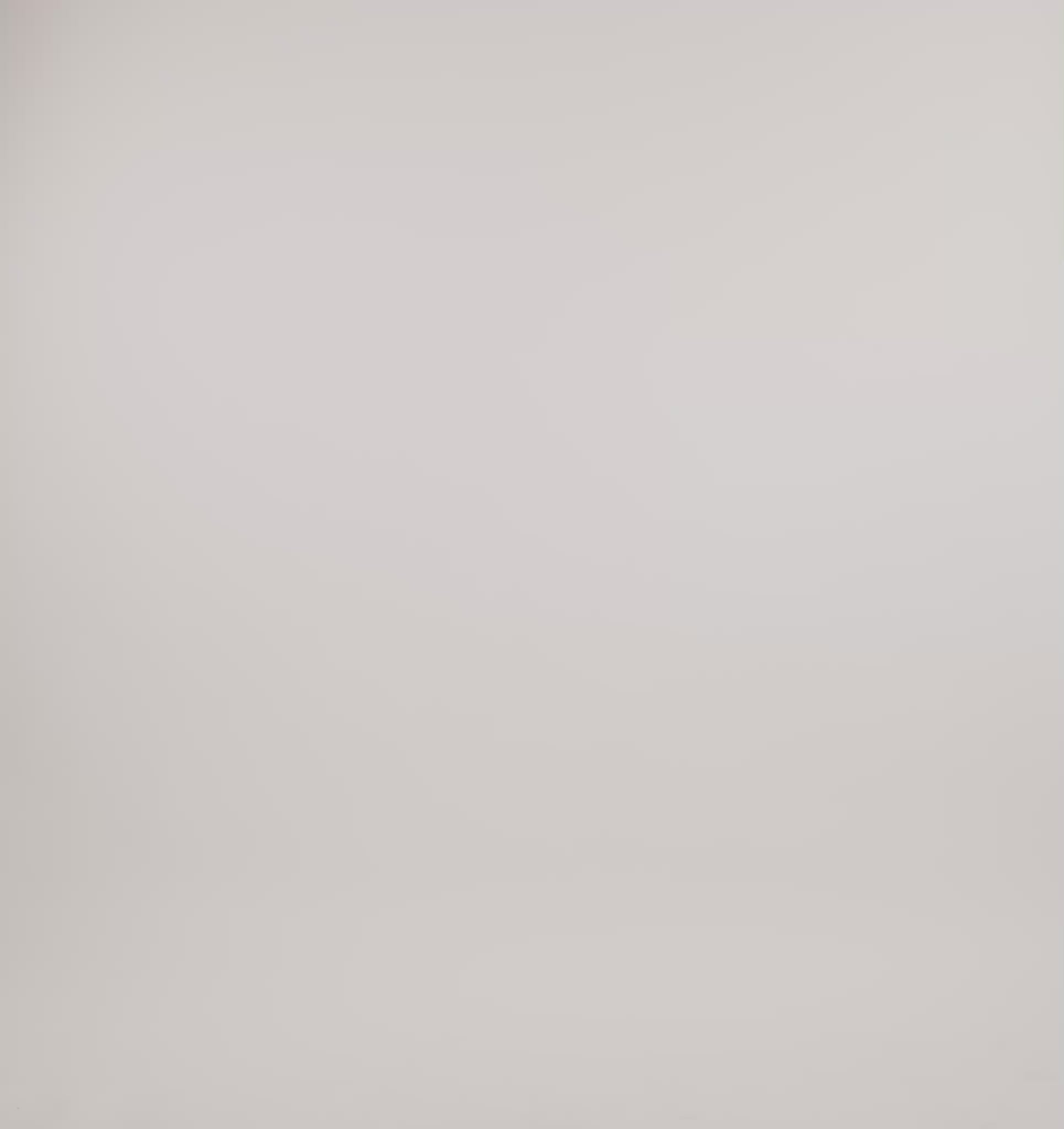 COTTON<br>Core Straight Leg Pants