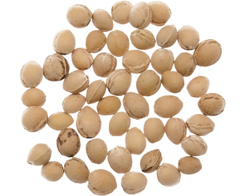 Kersenpitten 500 g