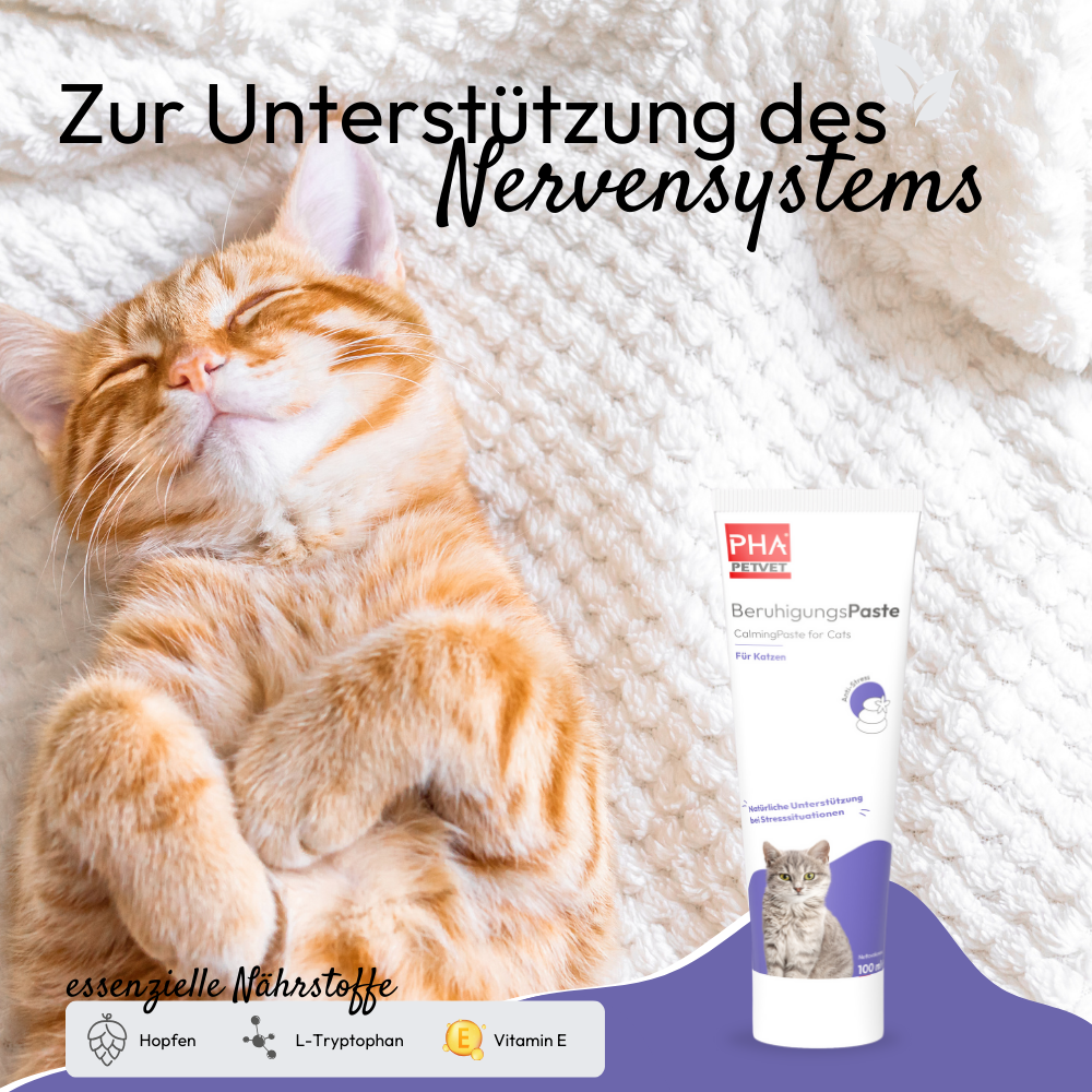 PHA Beruhigungspaste<br>100 ml, Tube, Paste, für Katzen