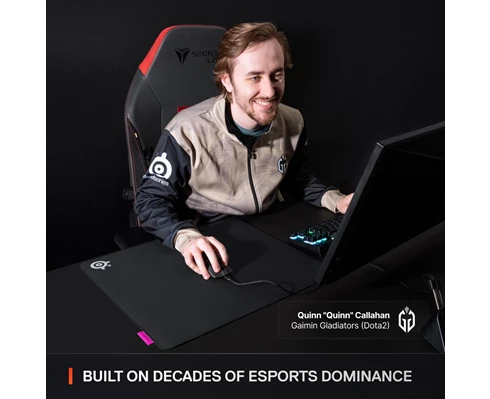 SteelSeries QcK Performance L - Speed