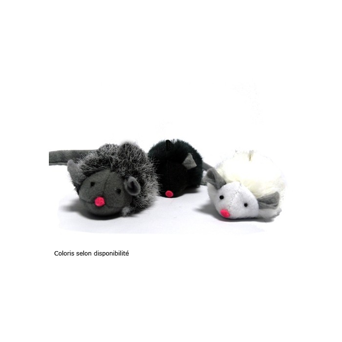 Souris couinante