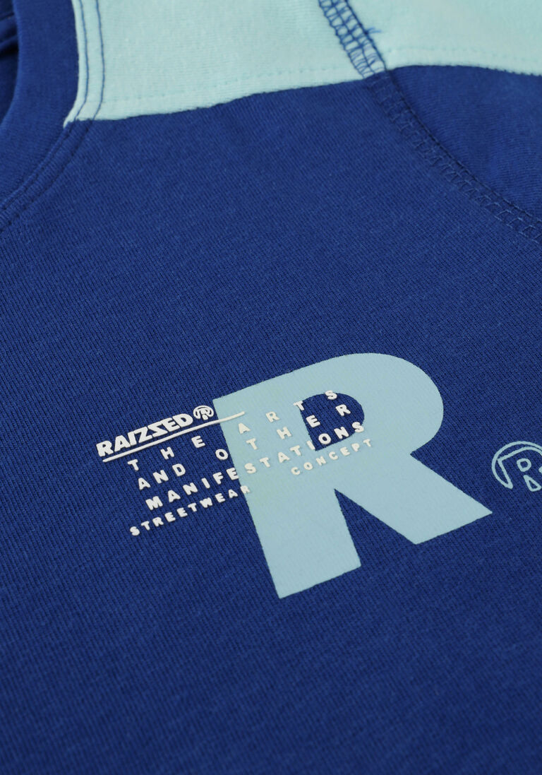 RAIZZED blauwe raizzed t-shirt socorro
