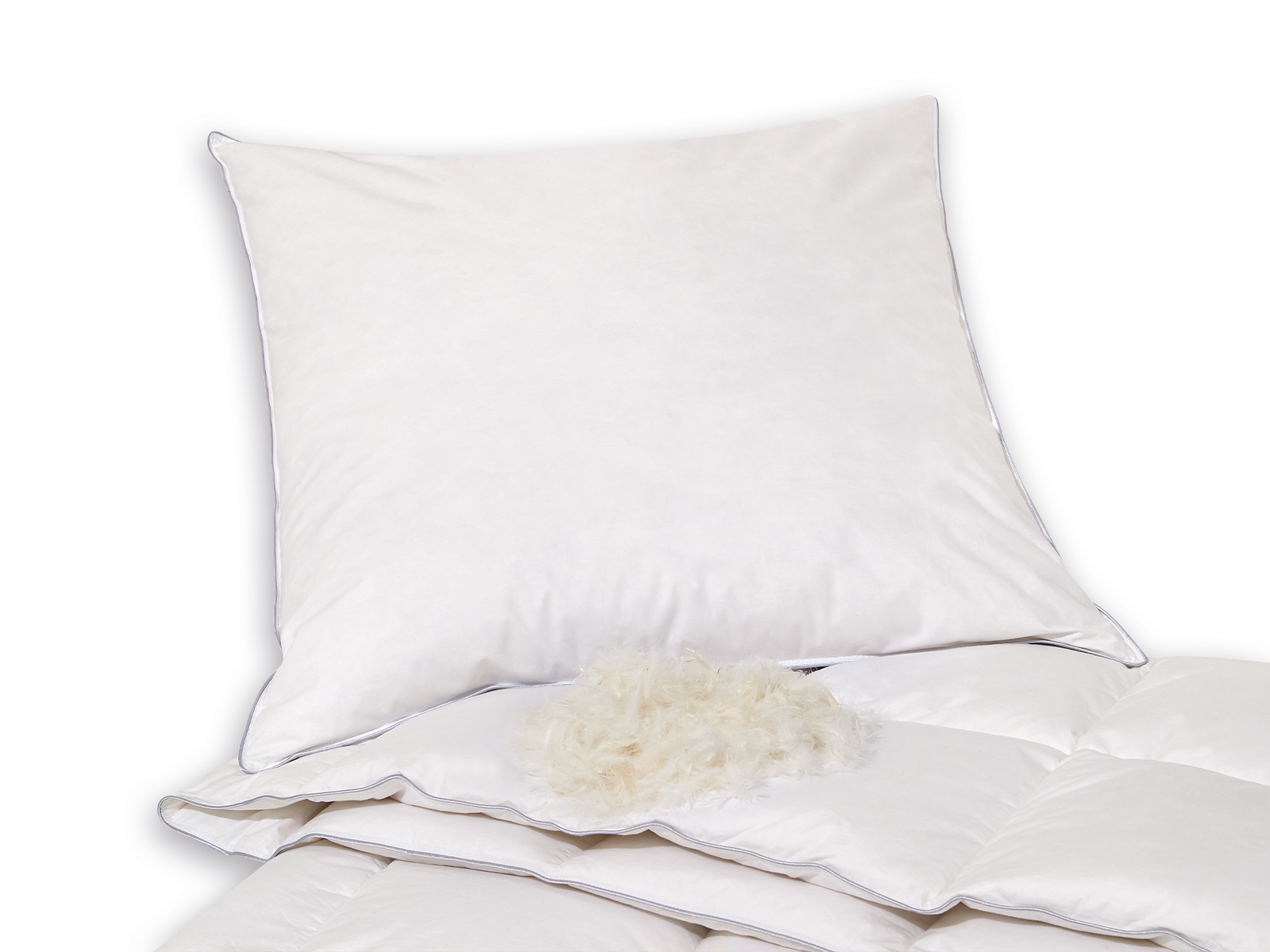 Sleepsy Daunenkissen - 080x080cm