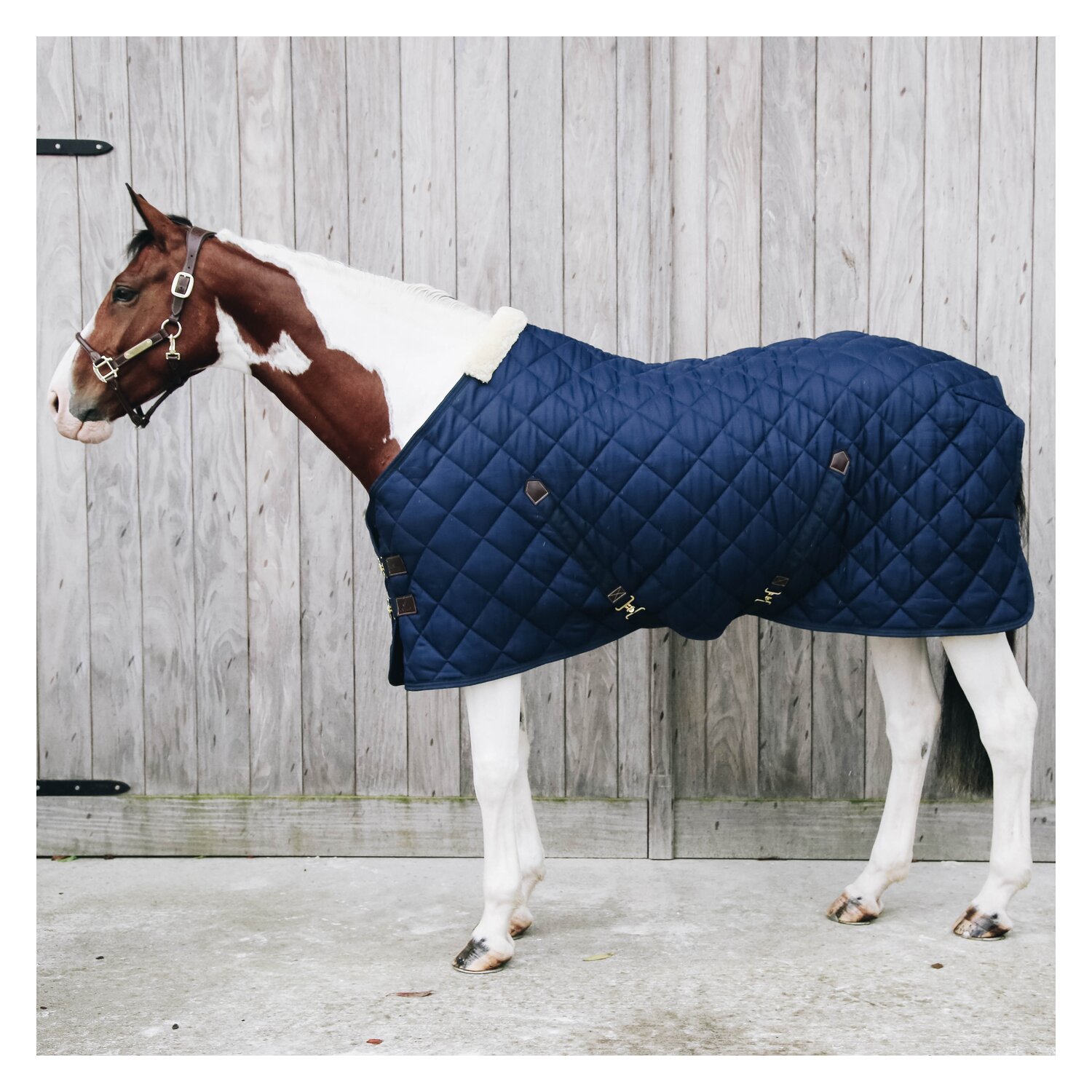 KENTUCKY Stalldecke - navy