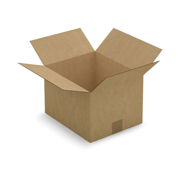Caisse carton brune simple cannelure RAJA 30x25x20 cm, lot de 25