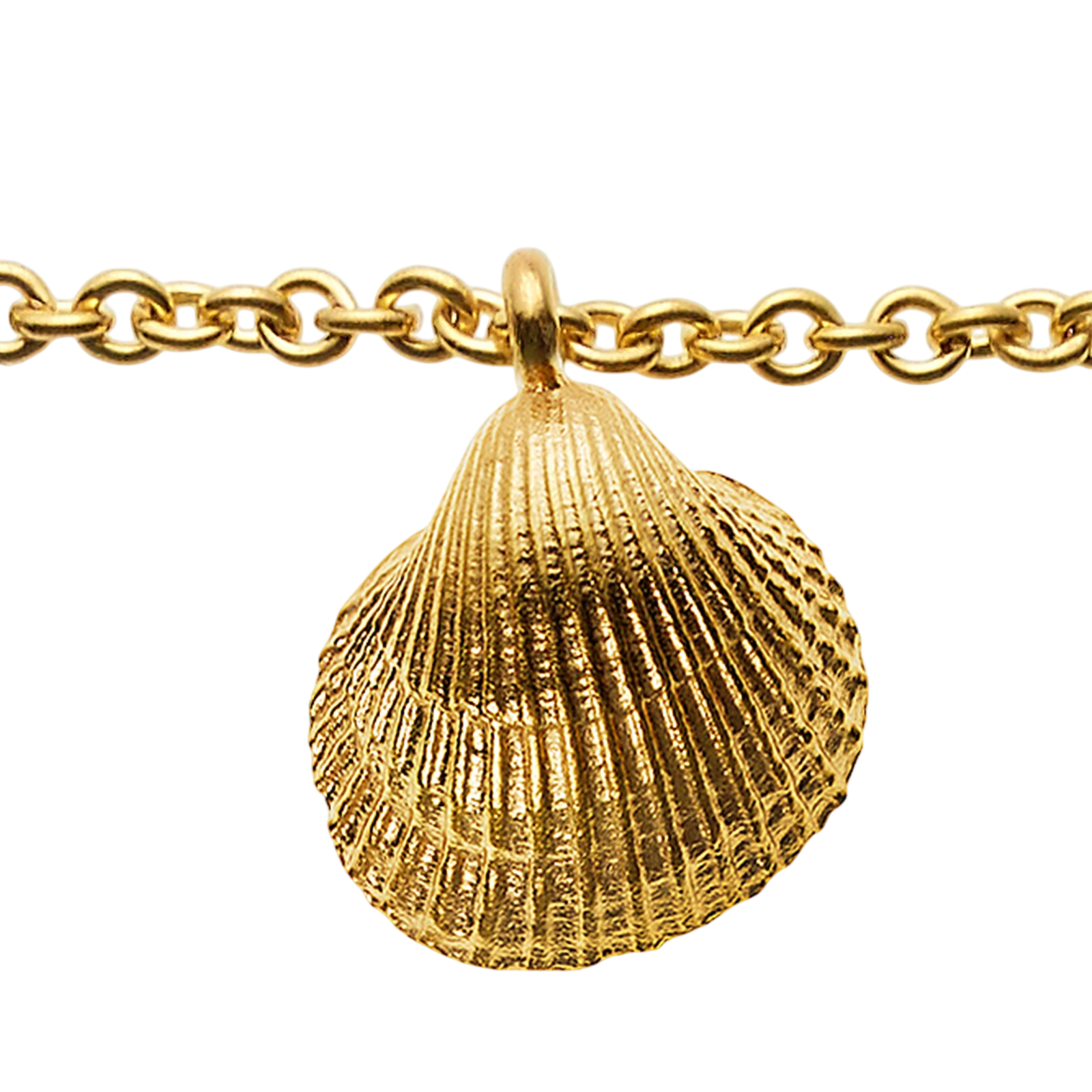 Collier mit 8 Carneol Steinen und Muschel Anhänger, vergoldet