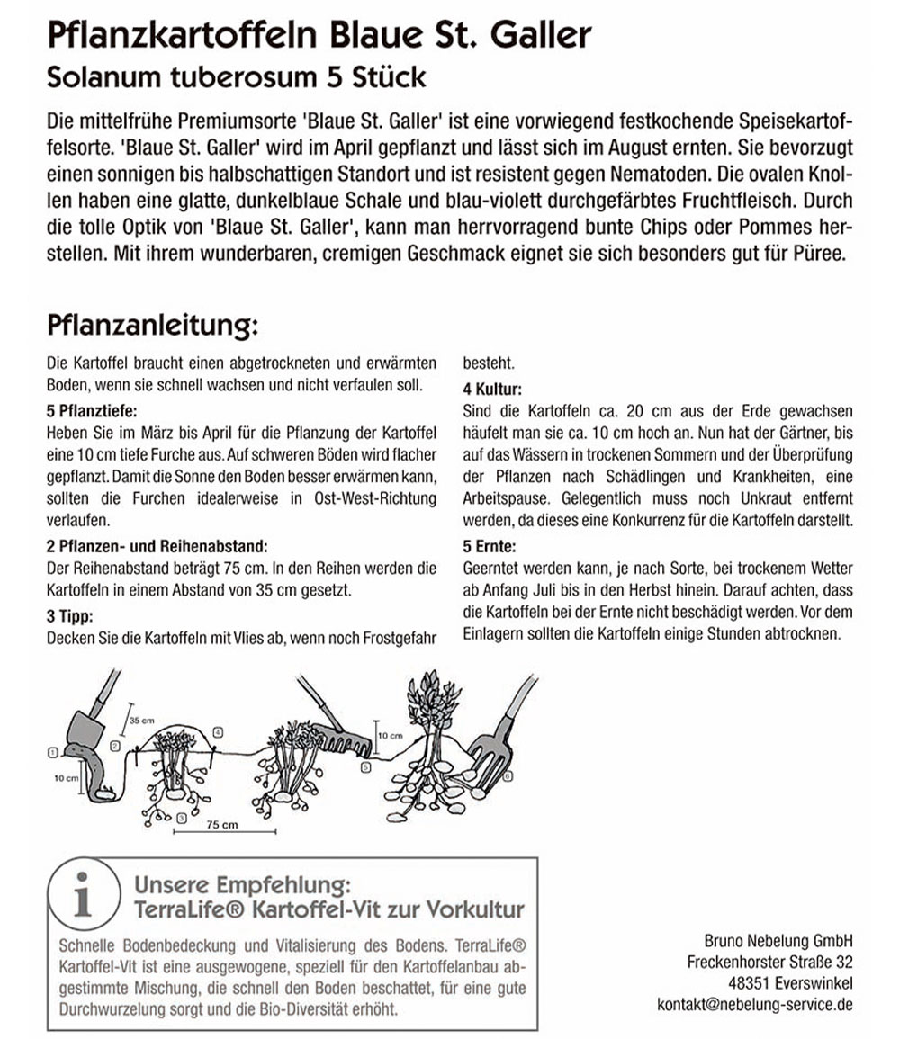 Pflanzkartoffel 'Blaue St. Galler'