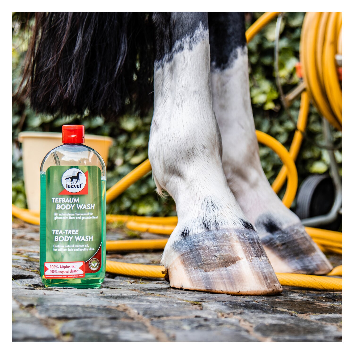 leovet Teebaum body wash - 500 ml