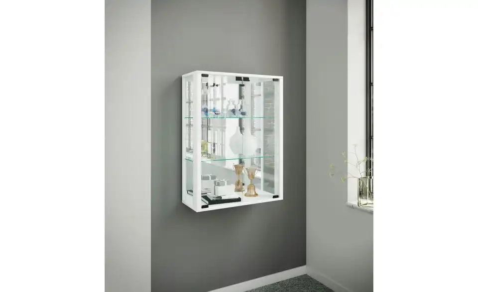 Hängevitrine mit Beleuchtung
