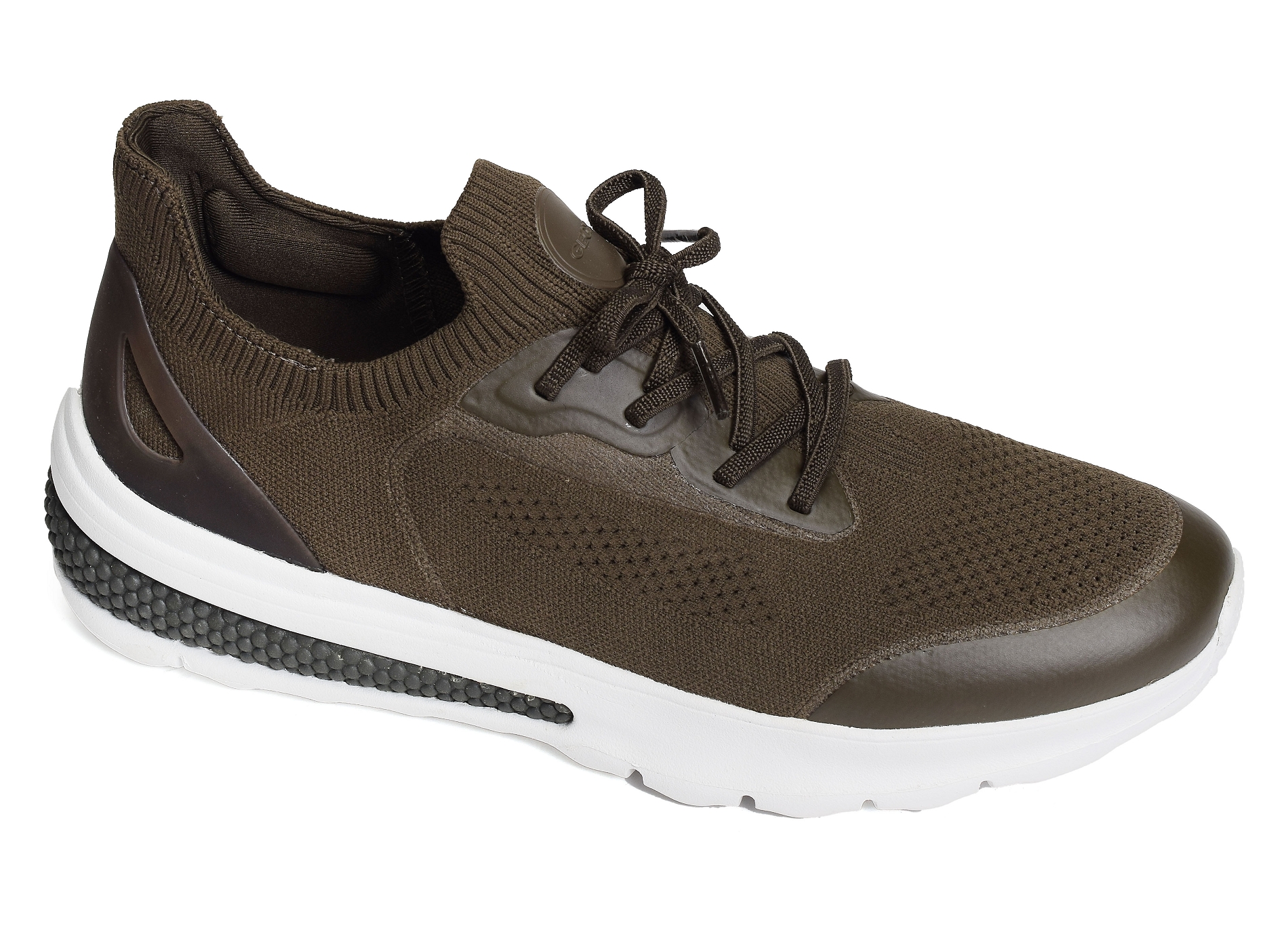 U spherica actif a kaki