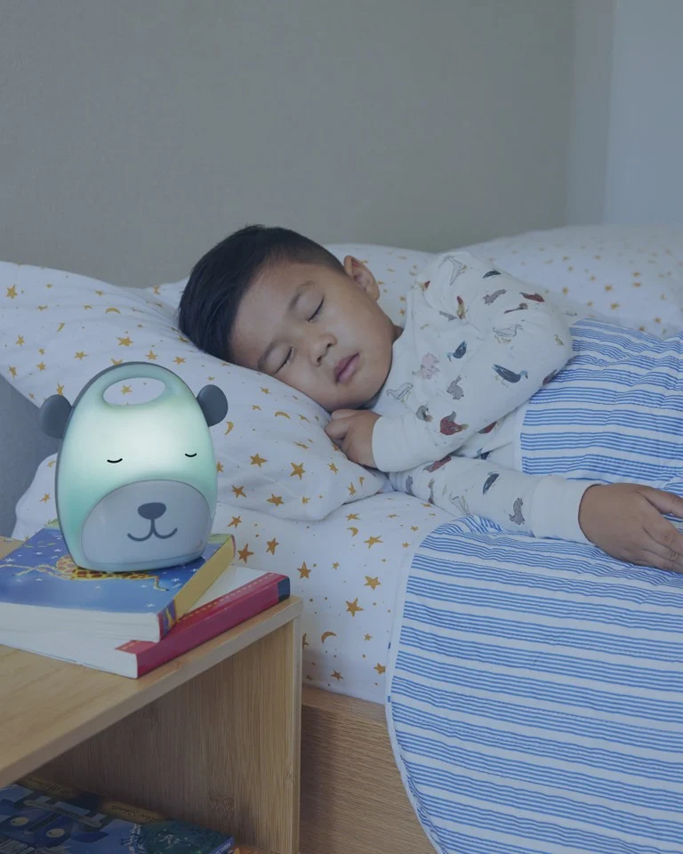 Skip Hop - Beary Cute Take-Along Nightlight