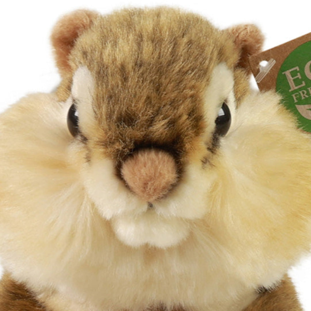 rappa knuffeleekhoorn - 20 cm