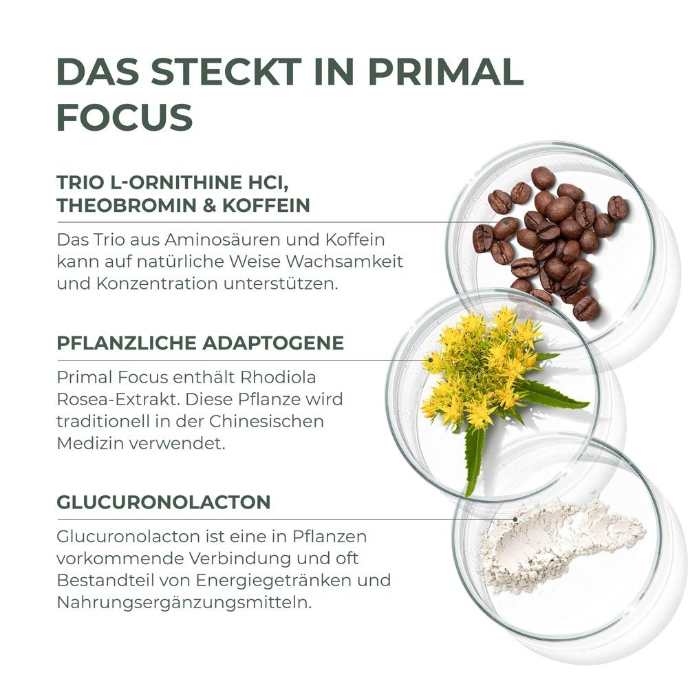 Primal Focus Kogni Boost von Primal Harvest®