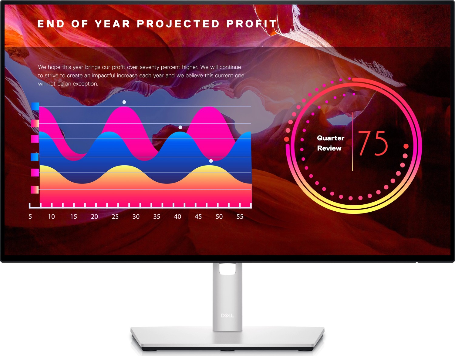 Dell UltraSharp U2422H | 23.8