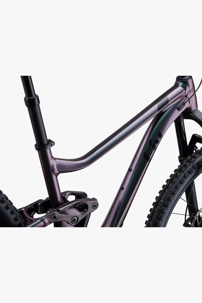 Liv Intrigue 29 2 Damen Mountainbike 2023