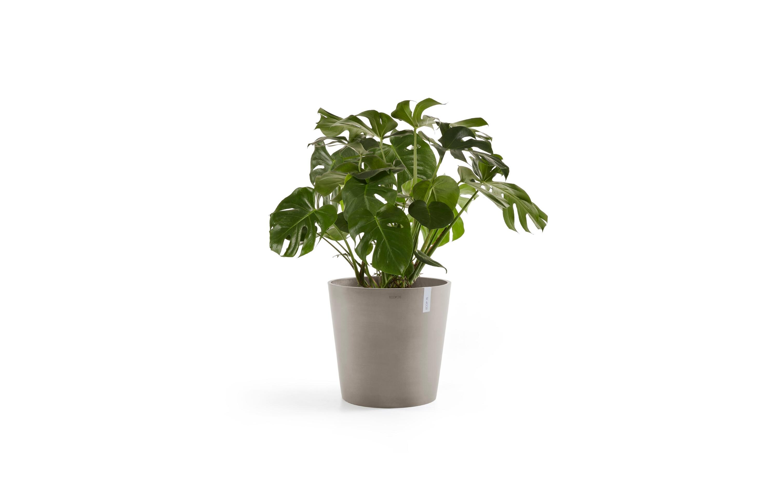 Pflanzentopf Amsterdam 50, French TaupeRobuster und langlebiger Blumentopf