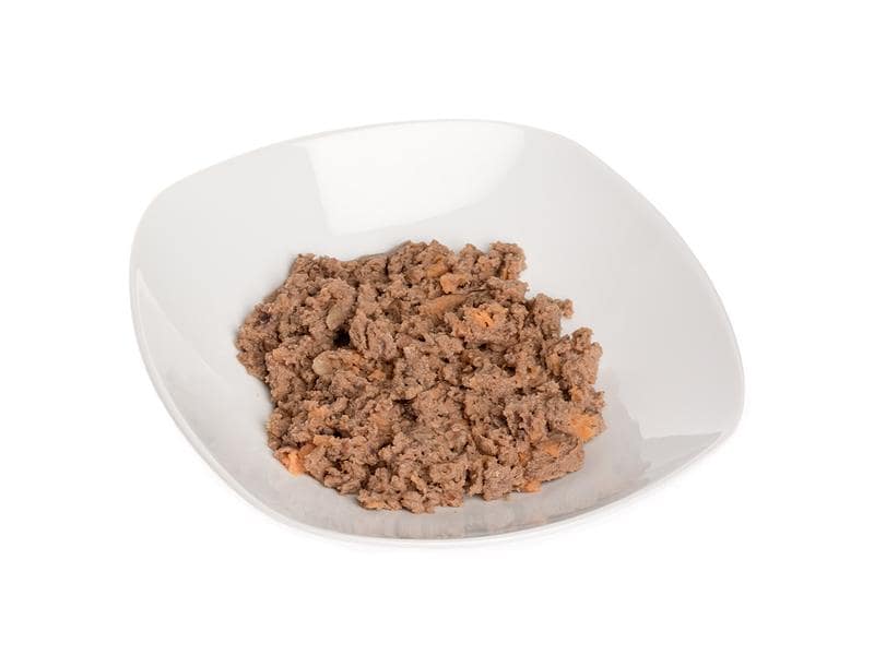 Wildes Land Nassfutter Ente mit Süsskartoffeln, Birnen & Be Alleinfutter aus Entenfleisch mit Süsskartoffeln, Birnen & Beeren