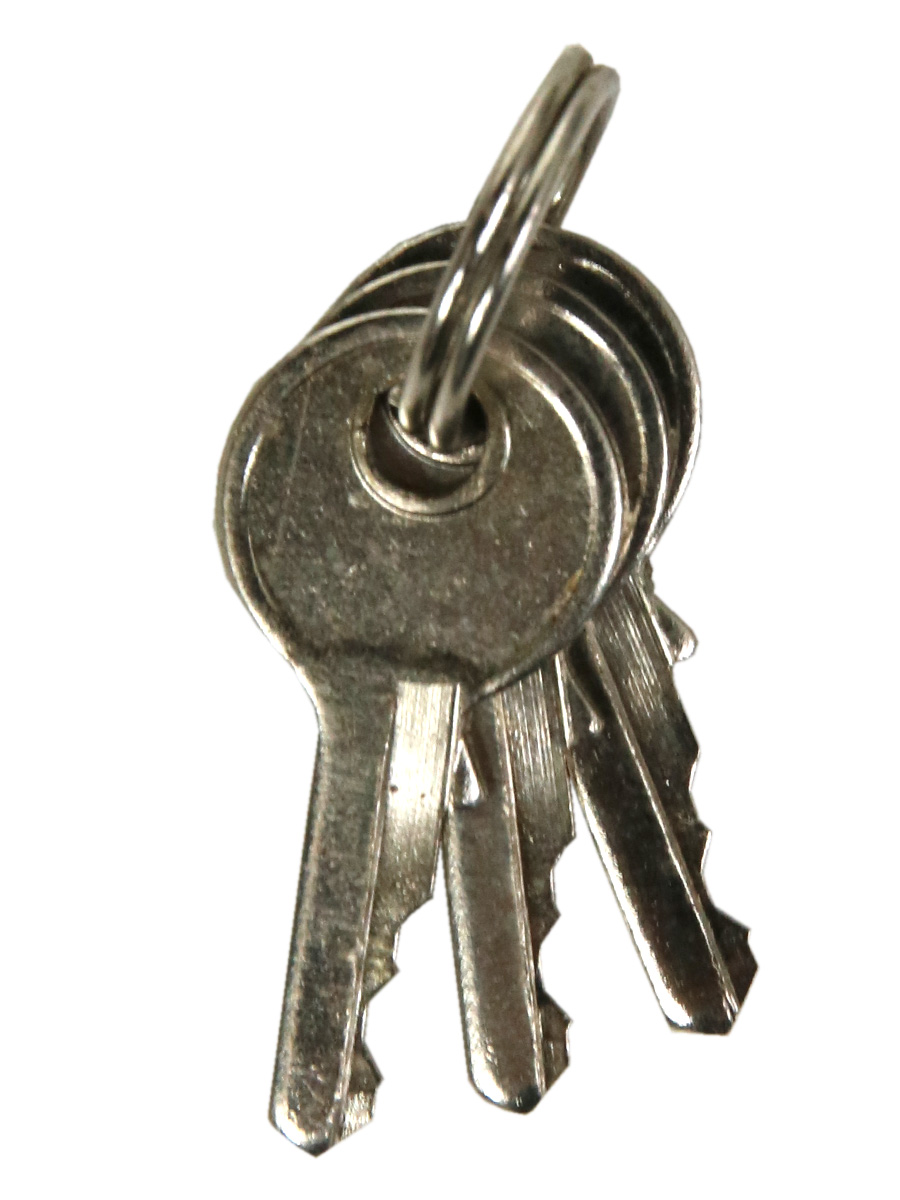 Cadenas À clÀ Go Travel SÀcuritÀ