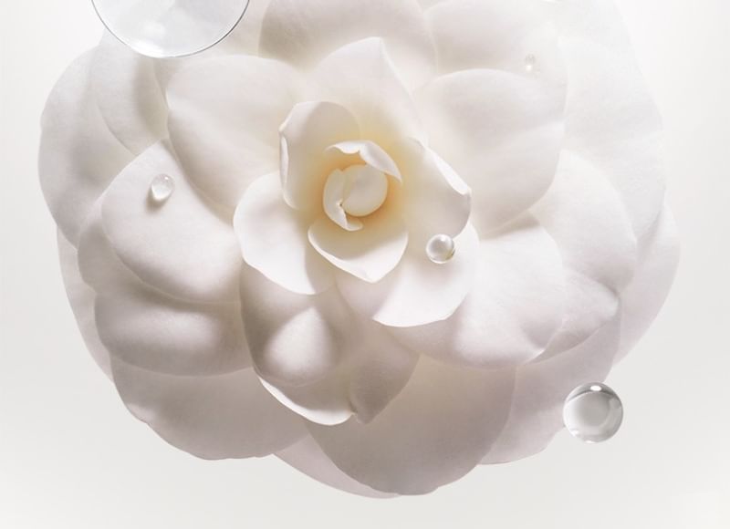 T8 - Plantaardige Parfum Haar Essentiële Olie Set