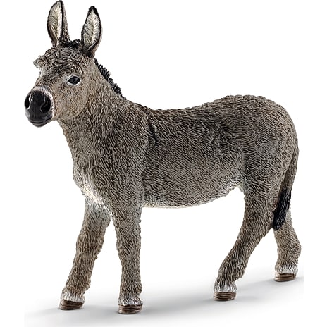 Schliech æsel