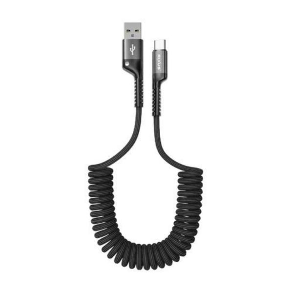 Rixus Cabo Retractable Spring Type-A para Type-C Preto