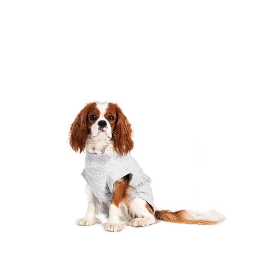 Corpo cinza flamingo para cães