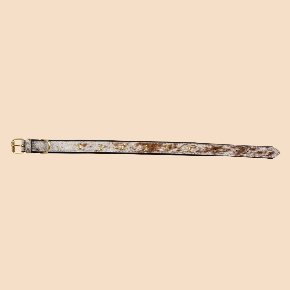 Myra Bag Dog Collar Chissum