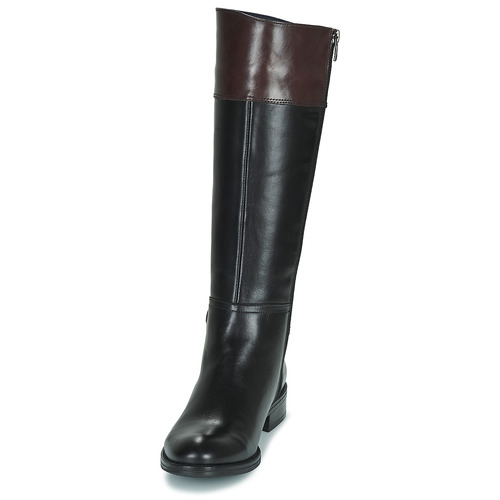 Dorking - TIERRA - Noir / Marron