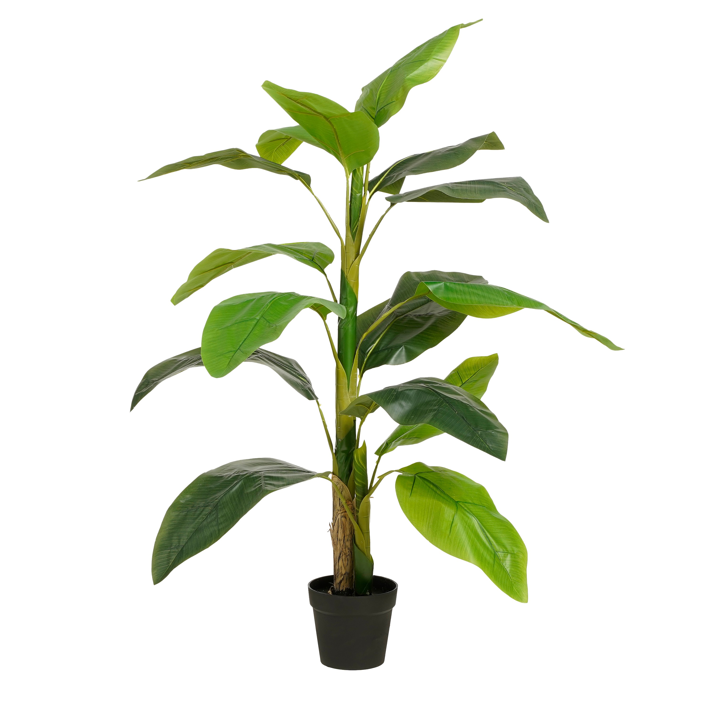 Strelitzia artificielle vert en pot h150
