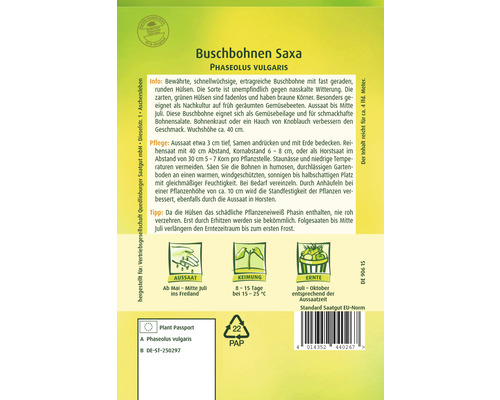 Bosbonen Saxa Quedlinburger open-pollinated seed groentezaden