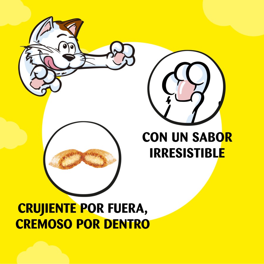 Petiscos de salmão Catisfactions para gatos
